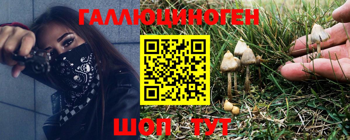 Галлюциногенные грибы мухоморы Дзержинский