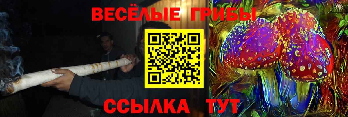 Псилоцибиновые грибы MAGIC MUSHROOMS  Псилоцибиновые грибы Magic Shrooms  Дзержинский  Вход с VPN 